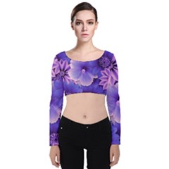 Pattern Floral Flora Flower Flowers Blue Violet Patterns Velvet Long Sleeve Crop Top