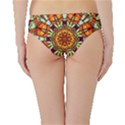 Kaleidoscope Floral Pattern Rosette Hipster Bikini Bottoms View2