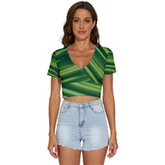 Green-01 V-neck Crop Top by nateshop