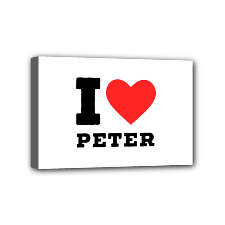 I love peter Mini Canvas 6  x 4  (Stretched)