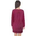 Red Long Sleeve Chiffon Shift Dress  View2