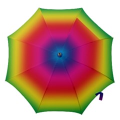 Spectrum Hook Handle Umbrellas (large) by nateshop