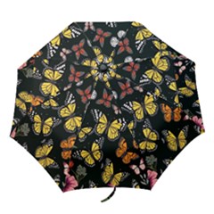 Flowers Butterfly Blooms Flowering Spring Folding Umbrellas