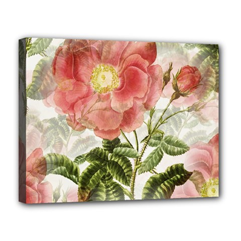 Flowers-102 Canvas 14  X 11  (stretched) by nateshop