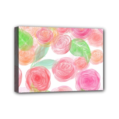 Roses-50 Mini Canvas 7  X 5  (stretched) by nateshop