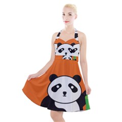 Panda Animal Orange Sun Nature Halter Party Swing Dress  by Semog4