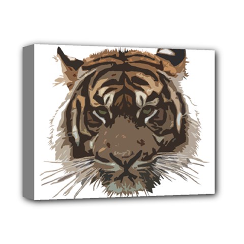 Tiger Comic Cartoon Animal Deluxe Canvas 14  X 11  (stretched) by Semog4