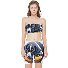 Dog Animal Cute Pet Puppy Pooch Stretch Shorts And Tube Top Set by Semog4