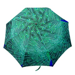 Green And Blue Peafowl Peacock Animal Color Brightly Colored Folding Umbrellas