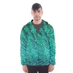 Green And Blue Peafowl Peacock Animal Color Brightly Colored Men s Hooded Windbreaker