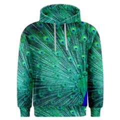 Green And Blue Peafowl Peacock Animal Color Brightly Colored Men s Overhead Hoodie