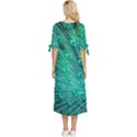 Green And Blue Peafowl Peacock Animal Color Brightly Colored Bow Sleeve Chiffon Midi Dress View4