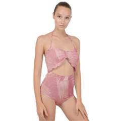 Pink-66 Scallop Top Cut Out Swimsuit by nateshop