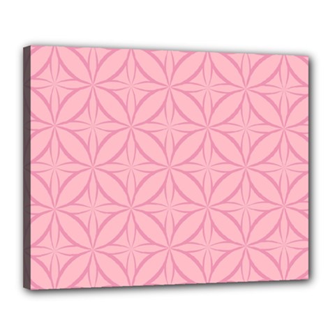 Pink-75 Canvas 20  X 16  (stretched) by nateshop