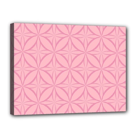 Pink-75 Canvas 16  X 12  (stretched) by nateshop