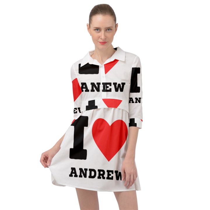 I love andrew Mini Skater Shirt Dress