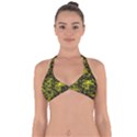 Background Graphic Beautiful Wallpaper Yellow Halter Neck Bikini Top View1