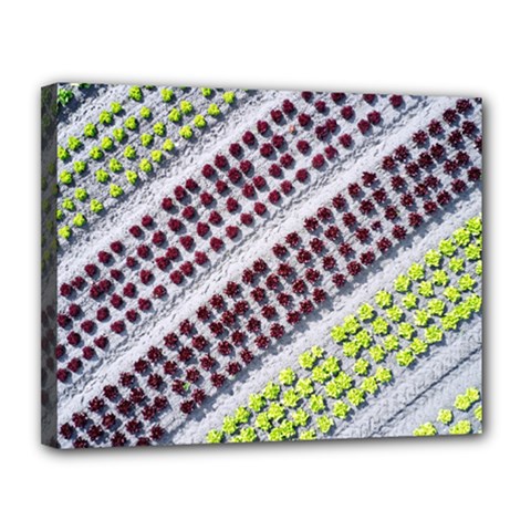 Field Agriculture Farm Stripes Diagonal Pattern Canvas 14  X 11  (stretched) by Jancukart