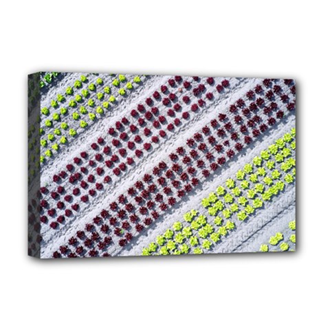 Field Agriculture Farm Stripes Diagonal Pattern Deluxe Canvas 18  X 12  (stretched)