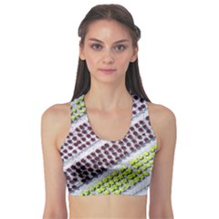 Field Agriculture Farm Stripes Diagonal Pattern Sports Bra by Jancukart