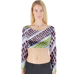 Field Agriculture Farm Stripes Diagonal Pattern Long Sleeve Crop Top