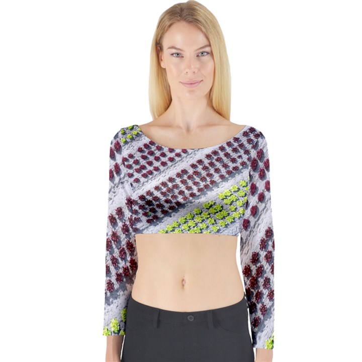 Field Agriculture Farm Stripes Diagonal Pattern Long Sleeve Crop Top