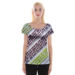 Field Agriculture Farm Stripes Diagonal Pattern Cap Sleeve Top