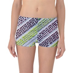 Field Agriculture Farm Stripes Diagonal Pattern Boyleg Bikini Bottoms