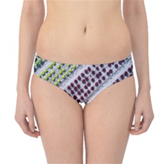 Field Agriculture Farm Stripes Diagonal Pattern Hipster Bikini Bottoms by Jancukart