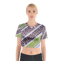 Field Agriculture Farm Stripes Diagonal Pattern Cotton Crop Top