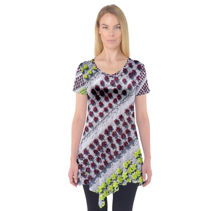 Field Agriculture Farm Stripes Diagonal Pattern Short Sleeve Tunic 