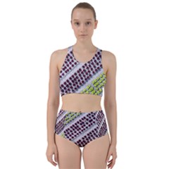 Field Agriculture Farm Stripes Diagonal Pattern Racer Back Bikini Set