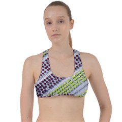 Field Agriculture Farm Stripes Diagonal Pattern Criss Cross Racerback Sports Bra by Jancukart