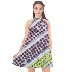 Field Agriculture Farm Stripes Diagonal Pattern Halter Neckline Chiffon Dress 