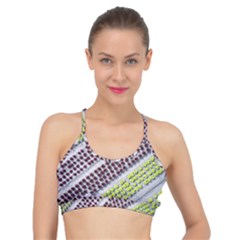 Field Agriculture Farm Stripes Diagonal Pattern Basic Training Sports Bra by Jancukart