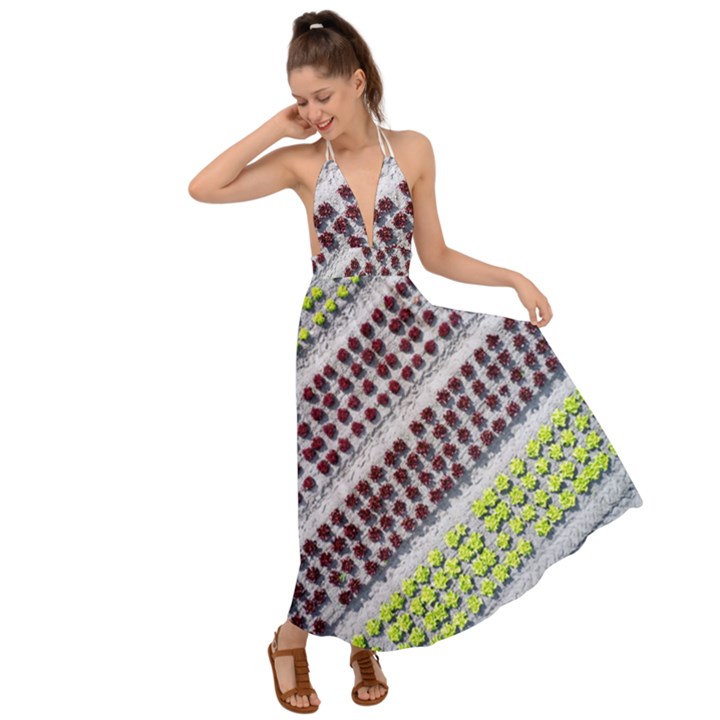 Field Agriculture Farm Stripes Diagonal Pattern Backless Maxi Beach Dress