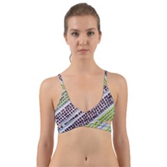 Field Agriculture Farm Stripes Diagonal Pattern Wrap Around Bikini Top