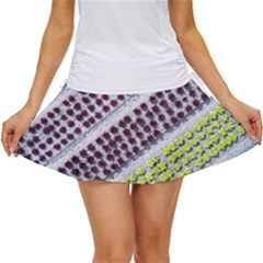 Field Agriculture Farm Stripes Diagonal Pattern Women s Skort