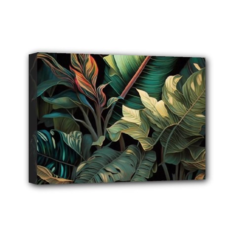 Tropical Leaf Leaves Foliage Monstera Nature Mini Canvas 7  X 5  (stretched)