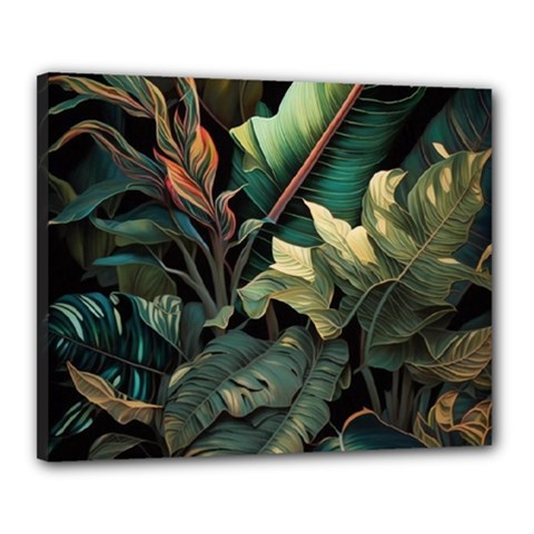 Tropical Leaf Leaves Foliage Monstera Nature Canvas 20  X 16  (stretched) by Jancukart