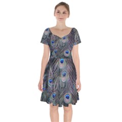 Peacock Feathers Peacock Bird Feathers Short Sleeve Bardot Dress