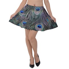 Peacock Feathers Peacock Bird Feathers Velvet Skater Skirt