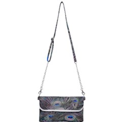 Peacock Feathers Peacock Bird Feathers Mini Crossbody Handbag