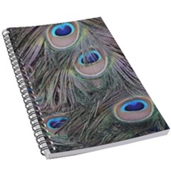 Peacock Feathers Peacock Bird Feathers 5 5  X 8 5  Notebook