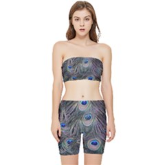 Peacock Feathers Peacock Bird Feathers Stretch Shorts And Tube Top Set