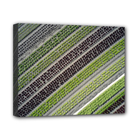 Field Agriculture Farm Stripes Diagonal Canvas 10  X 8  (stretched)