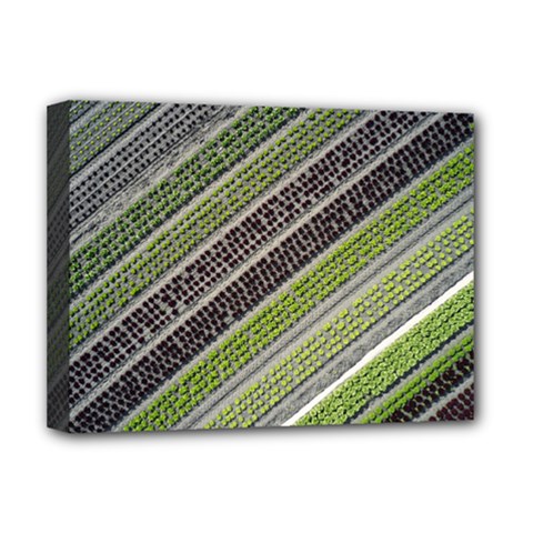 Field Agriculture Farm Stripes Diagonal Deluxe Canvas 16  X 12  (stretched) 