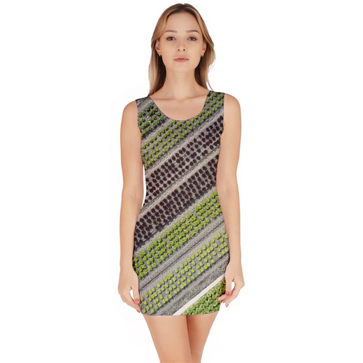 Field Agriculture Farm Stripes Diagonal Bodycon Dress