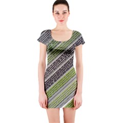 Field Agriculture Farm Stripes Diagonal Short Sleeve Bodycon Dress by Jancukart