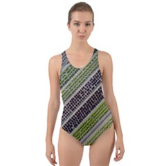 Field Agriculture Farm Stripes Diagonal Cut-out Back One Piece Swimsuit